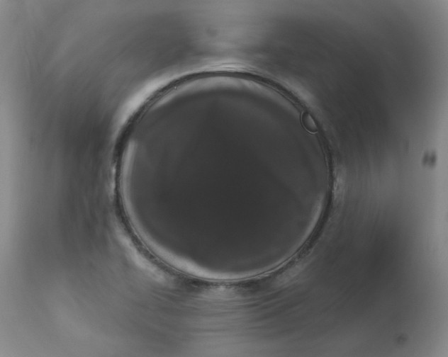 X0000112861414200909111458