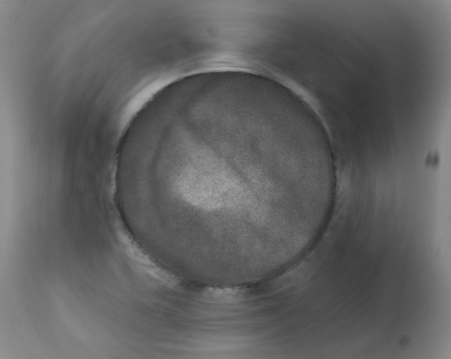 X0000112861415200909111458