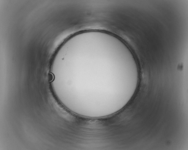 X0000112861416200909111458