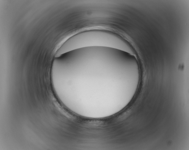 X0000112861417200909111458