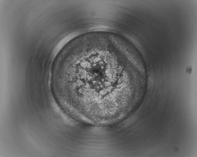 X0000112861418200909111458