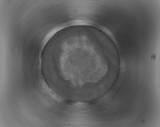 X0000112861419200909111458