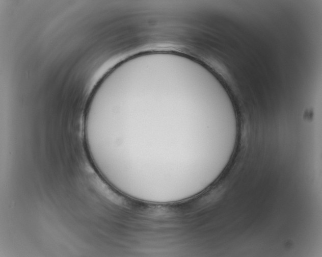 X0000112861420200909111458