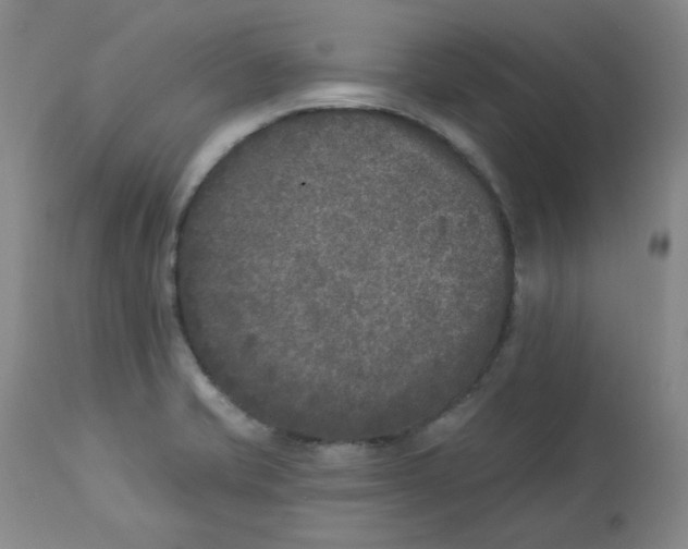 X0000112861421200909111458