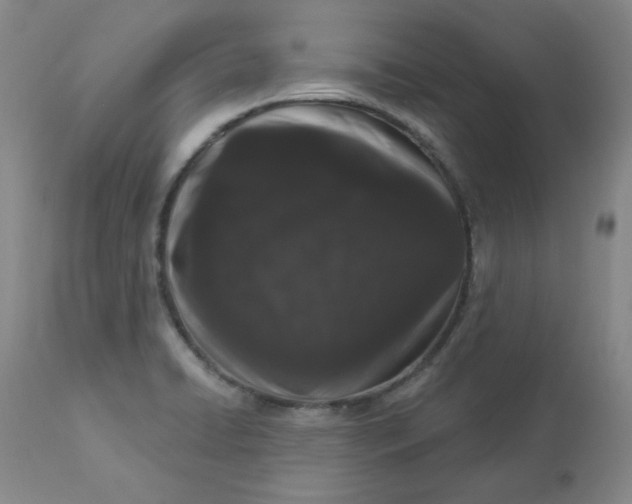 X0000112861422200909111458