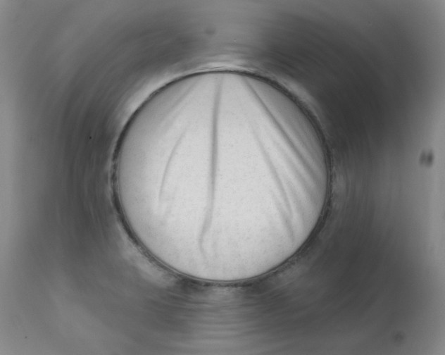 X0000112861423200909111458