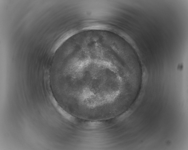 X0000112861425200909111458