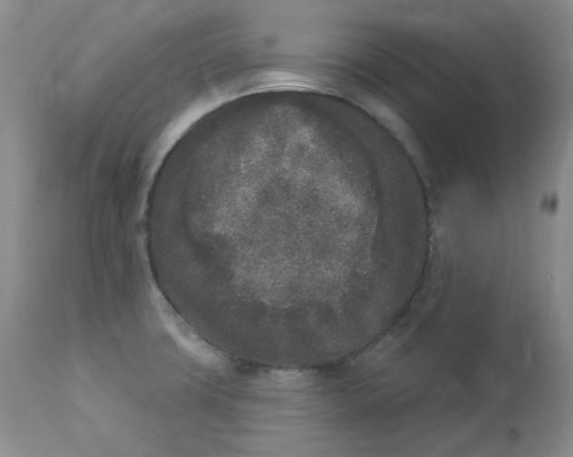 X0000112861427200909111458