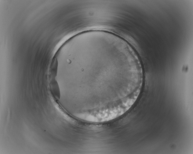 X0000112861428200909111458