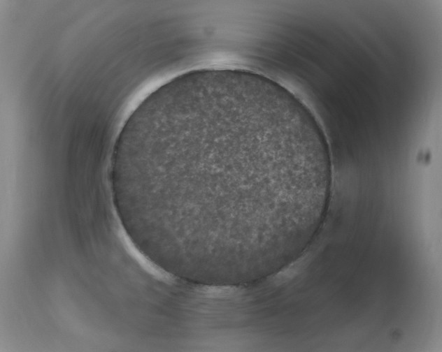 X0000112861429200909111458