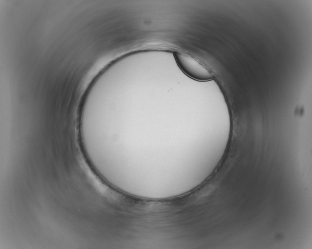 X0000112861430200909111458