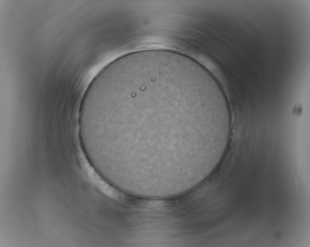 X0000112861431200909111458