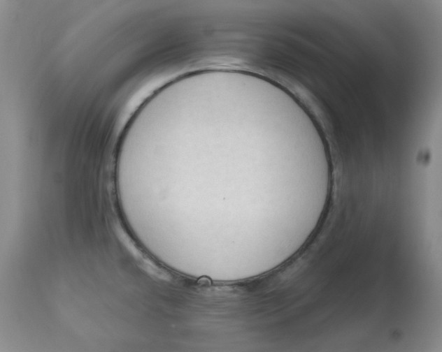 X0000112861432200909111458