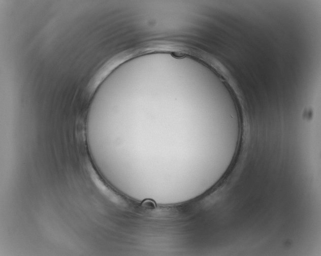 X0000112861433200909111458