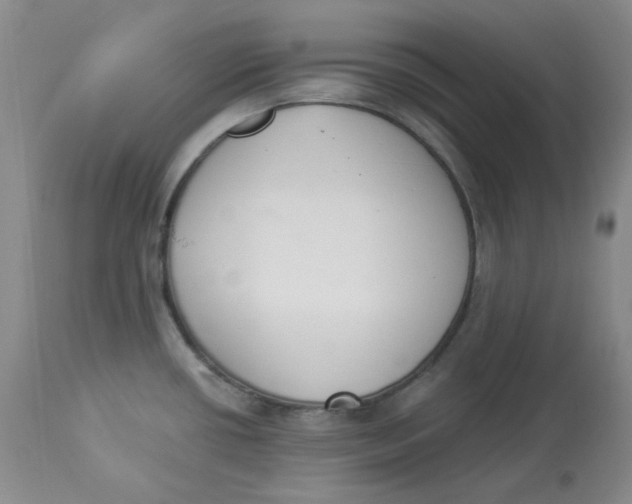 X0000112861434200909111458