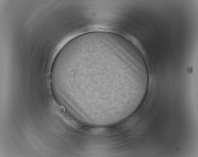 X0000112861435200909111458