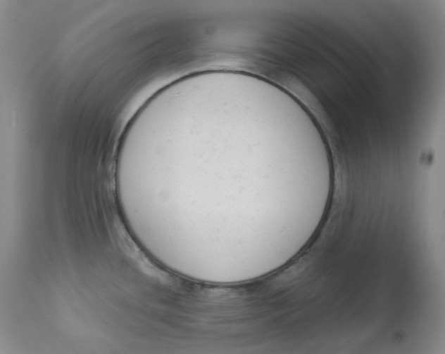 X0000112861436200909111458