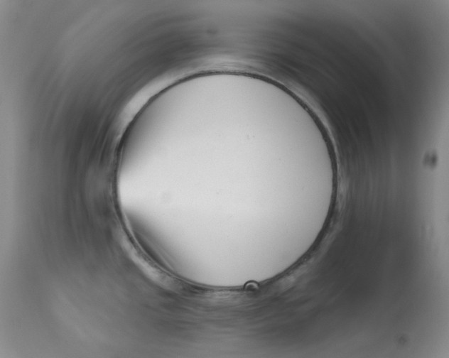 X0000112861437200909111458