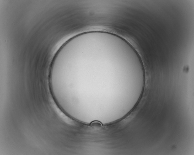 X0000112861438200909111458