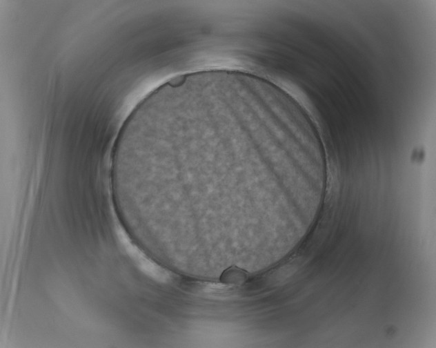 X0000112861439200909111458