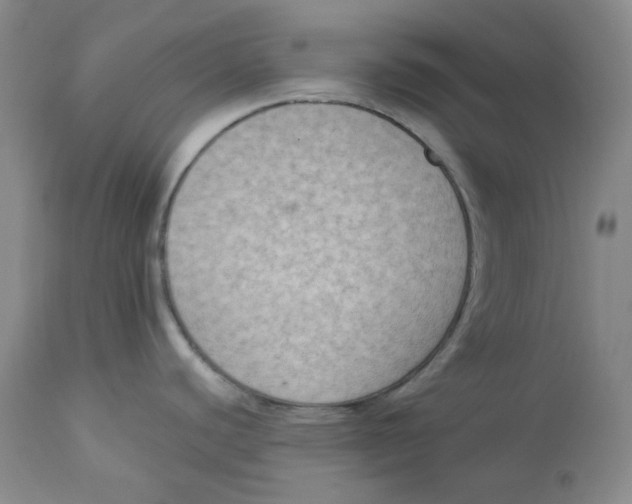 X0000112861440200909111458