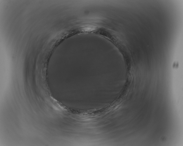 X0000112861441200909111457