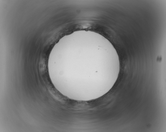 X0000112861442200909111457