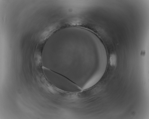 X0000112861444200909111457