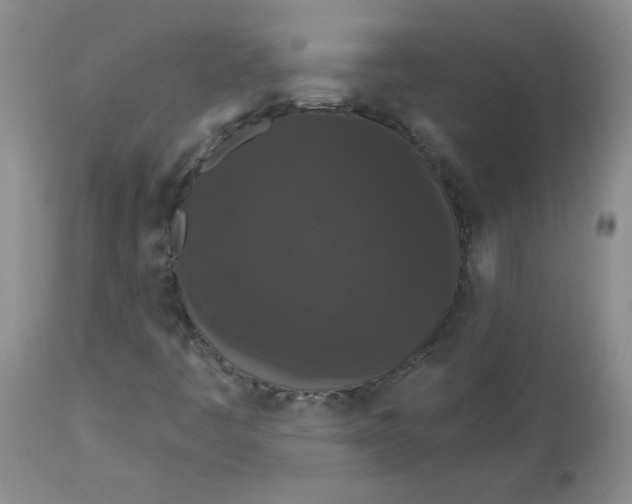 X0000112861445200909111457