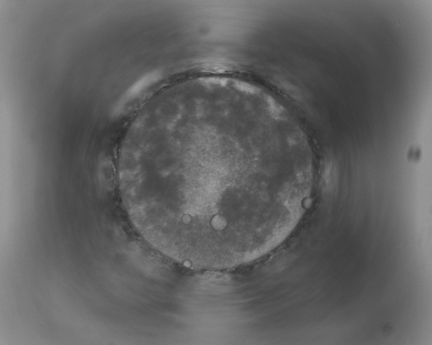 X0000112861446200909111457