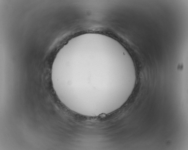 X0000112861447200909111457