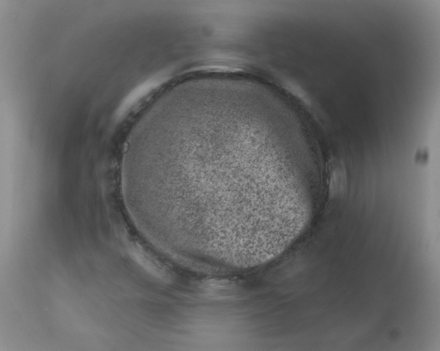 X0000112861448200909111457