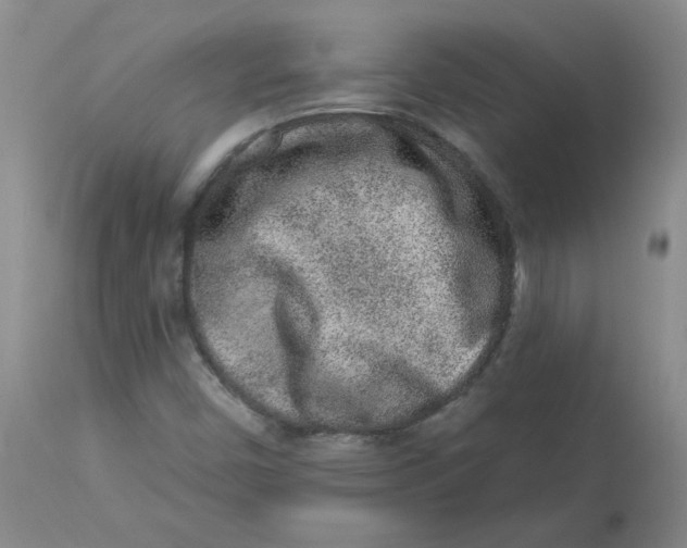 X0000112861450200909111457