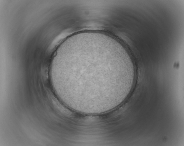 X0000112861451200909111457