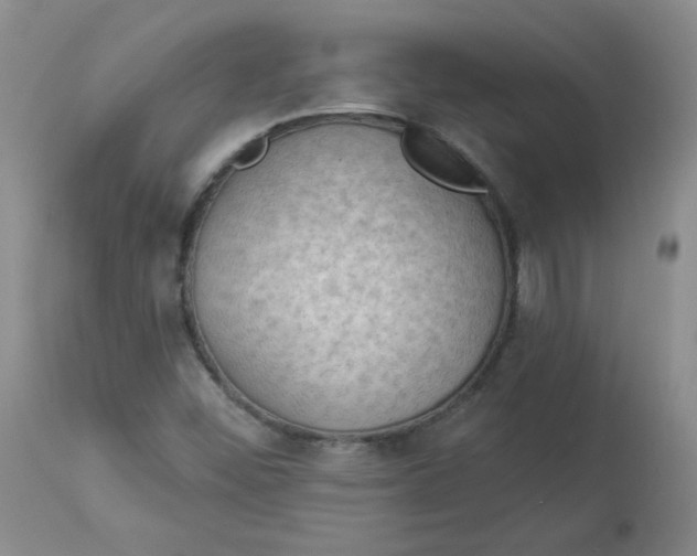 X0000112861452200909111457