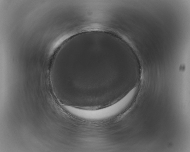 X0000112861453200909111457