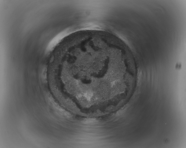 X0000112861455200909111457