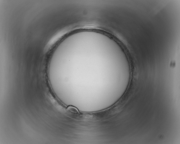 X0000112861456200909111457