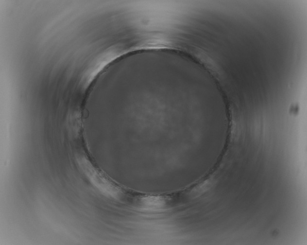 X0000112861457200909111457