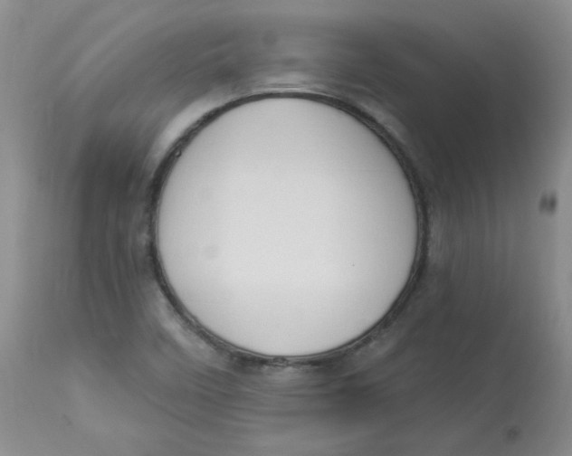 X0000112861458200909111457