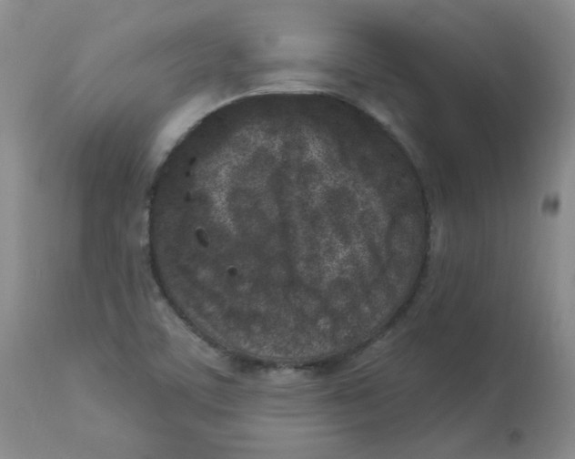 X0000112861459200909111457