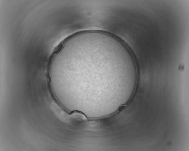 X0000112861460200909111457