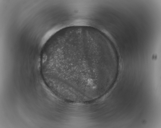 X0000112861461200909111457