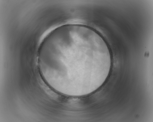 X0000112861462200909111457