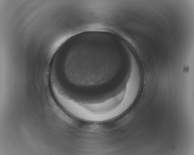 X0000112861463200909111457