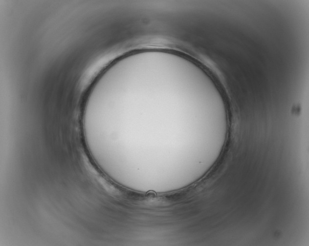 X0000112861464200909111457