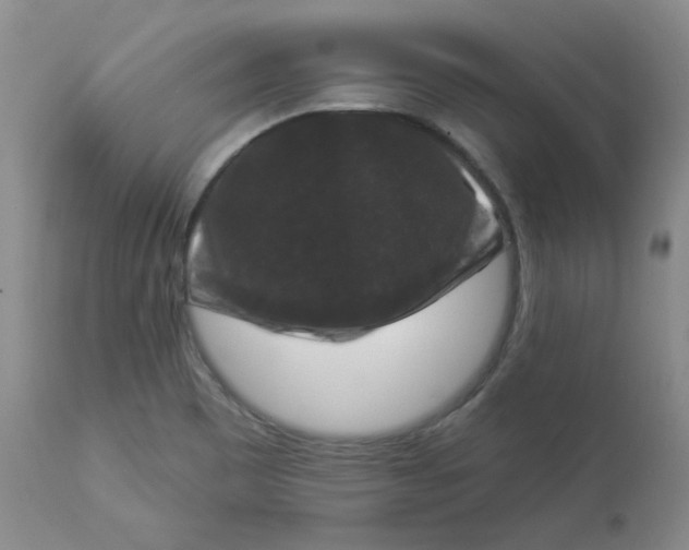 X0000112861465200909111457