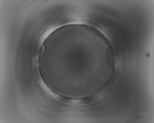 X0000112861468200909111457