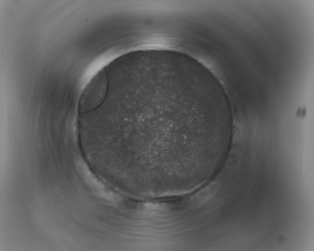 X0000112861469200909111457