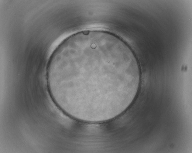 X0000112861470200909111457